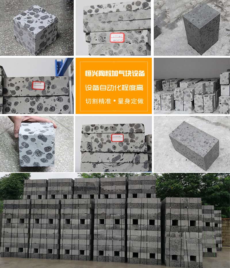 陶(tao)粒加氣(qì)混凝土(tu)砌塊 陶(tao)粒加氣(qi)混凝土(tu)砌塊